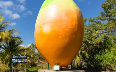 The Big Mango